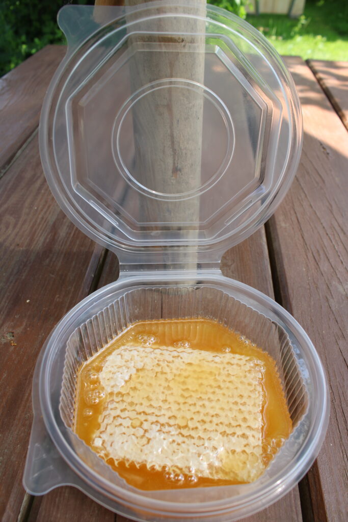 Wabenhonig, 500g-Schale
