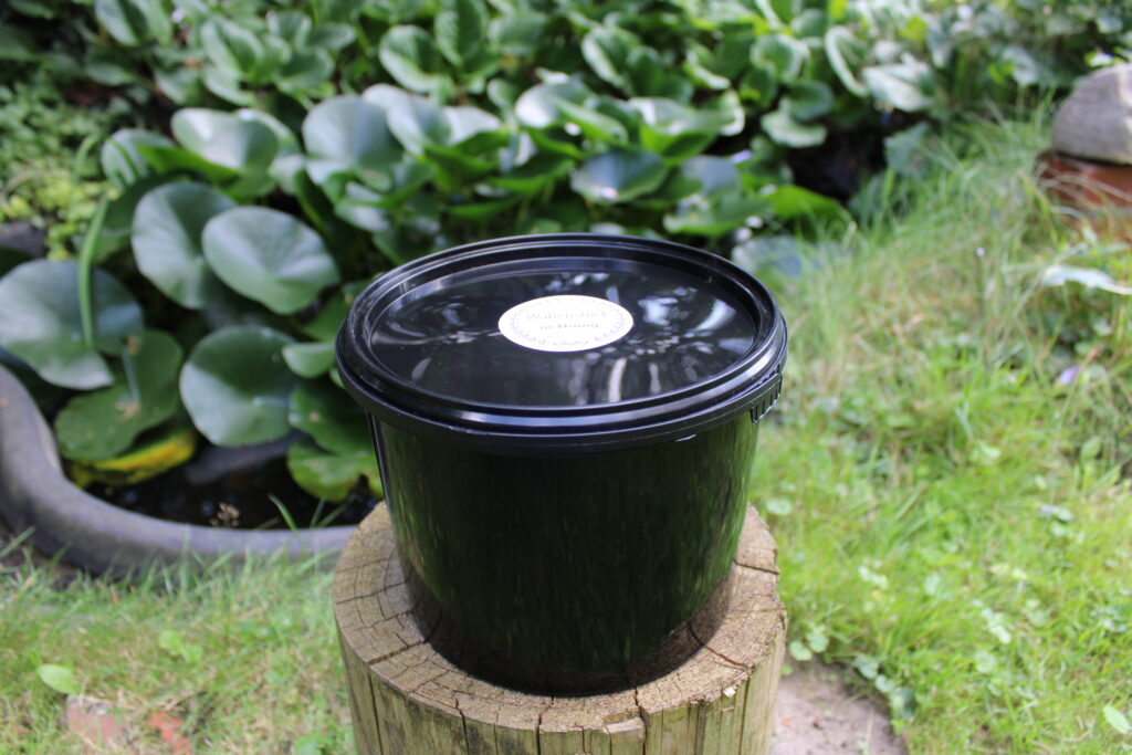 Wabenhonig 3 kg Eimer Sommertracht