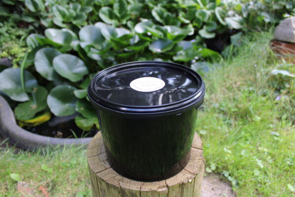 Wabenhonig 3 kg Eimer Sommertracht