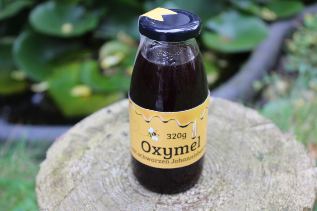Oxymel mit schwarzen Johannisbeeren