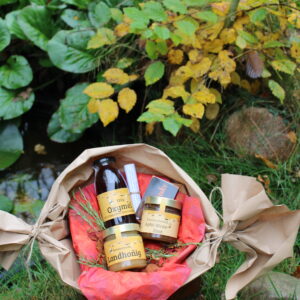 Geschenkkorb "Wandelgarten"