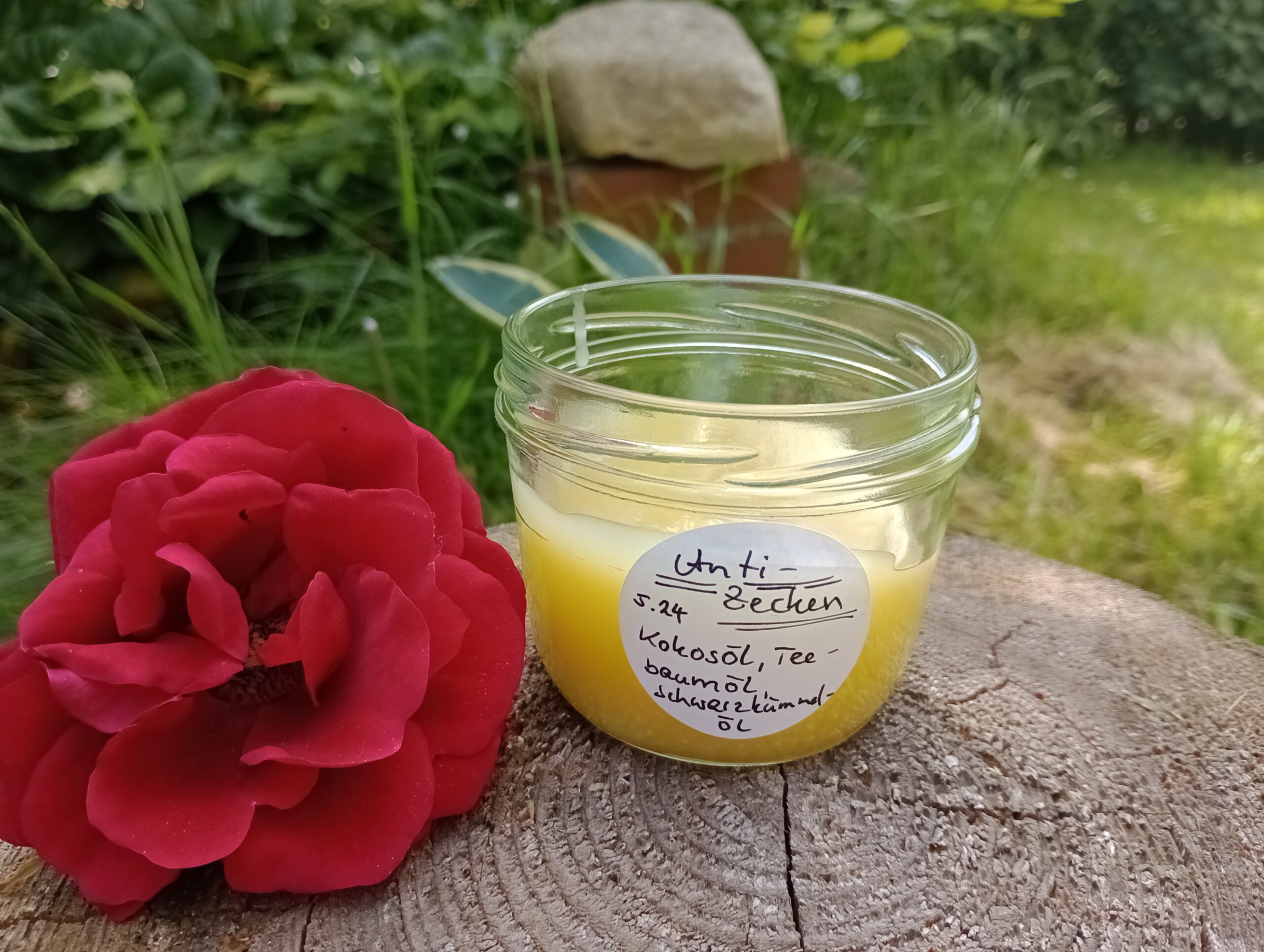 Vor-Ort-Workshop "Anti-Mücke und Anti-Zecke" am Samstag, den 16.05.26