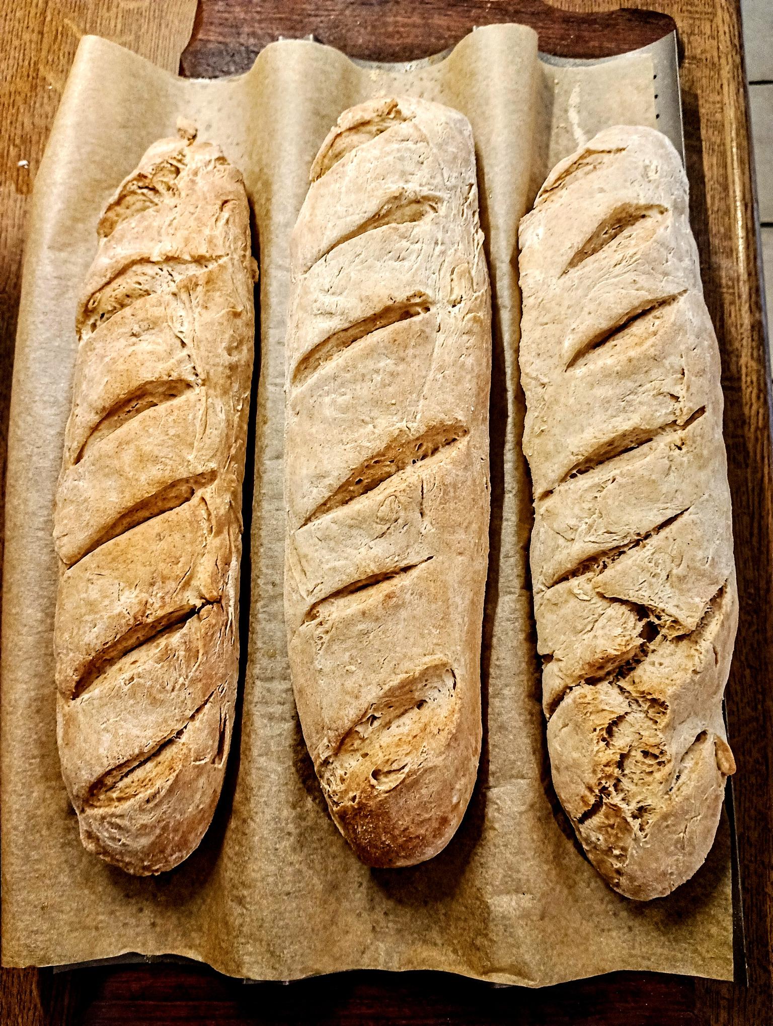 Vor-Ort Workshop "Sauerteigbrot backen" am Samstag, den 17.10.26 – Bild 4